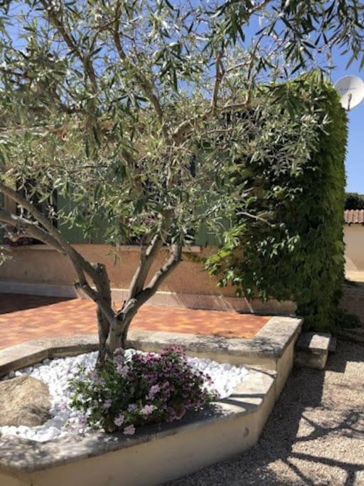 La Pitchoune : Gite Aux Pieds Des Alpilles Mouries Bagian luar foto