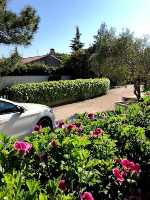 La Pitchoune : Gite Aux Pieds Des Alpilles Mouries Bagian luar foto